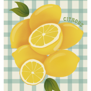 Illustration Citrons