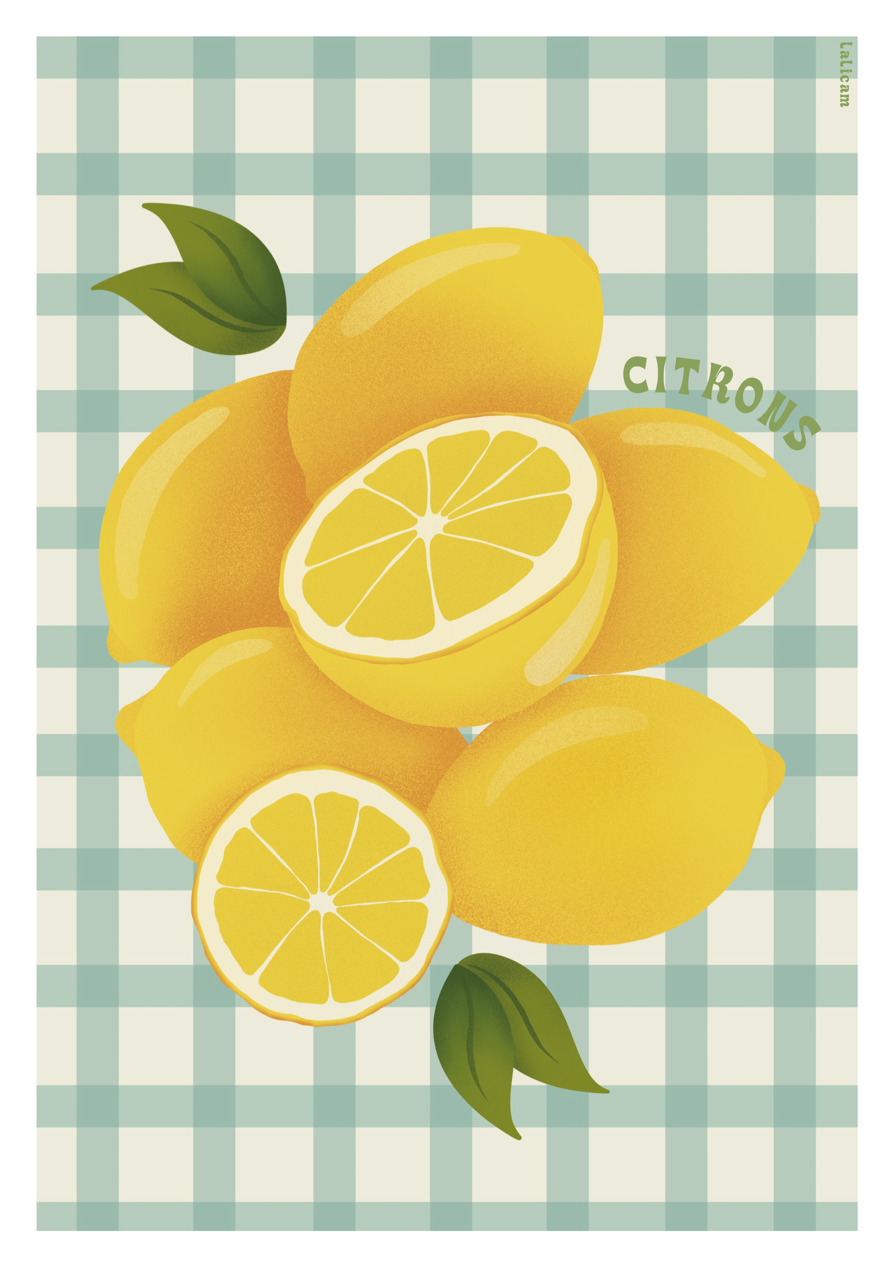 Illustration Citrons – Image 2