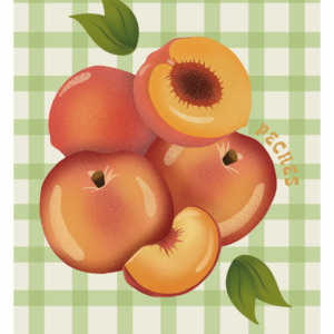 Illustration Pêches